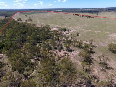 Other (Rural) For Sale - QLD - Chinchilla - 4413 - AFFORDABLE 320 ACRE STARTER BLOCK FOR GRAZING. EXCELLENT LIFESTYLE COUNTRY LIVING OFF THE GRID.  (Image 2)