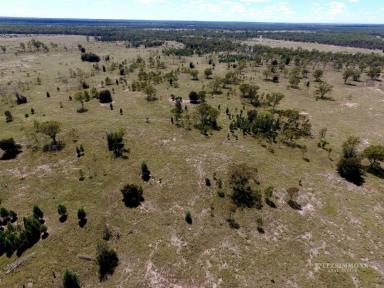 Other (Rural) For Sale - QLD - Chinchilla - 4413 - AFFORDABLE 320 ACRE STARTER BLOCK FOR GRAZING. EXCELLENT LIFESTYLE COUNTRY LIVING OFF THE GRID.  (Image 2)