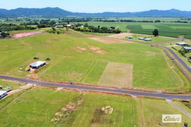 Residential Block For Sale - QLD - Feluga - 4854 - Lot 33 is Titled and ready to build NOW!  (Image 2)