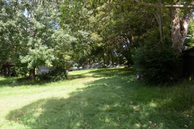 Residential Block For Sale - NSW - Morisset - 2264 - Leafy green, large vacant land  (Image 2)
