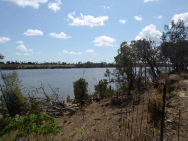 Horticulture For Sale - QLD - Avoca - 4670 - MINUTES AWAY FROM BUNDABERG CBD  (Image 2)
