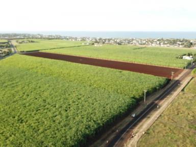 Horticulture For Sale - QLD - Burnett Heads - 4670 - Opportunities await, 10 titles on  24.3 hectares (60 acres)  (Image 2)