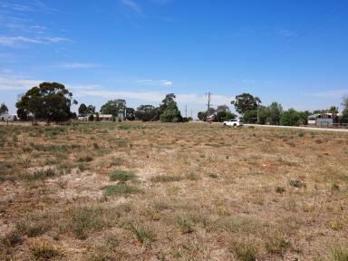 Cropping For Sale - VIC - Macorna - 3579 - 4123M2 (1.02 Acres) Substantial Township Zoned Allotment  (Image 2)