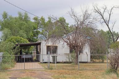 House For Lease - NSW - Bourke - 2840 - Cosy cottage  (Image 2)