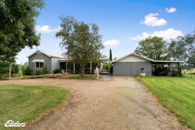 Lifestyle For Sale - VIC - Stratford - 3862 - CHARACTER HOME + 20 ACRES  (Image 2)