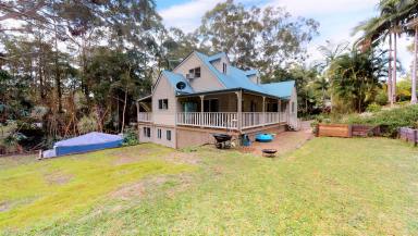 House Leased - QLD - Tinbeerwah - 4563 - Lovely home with access to the Tewantin State Forest  (Image 2)