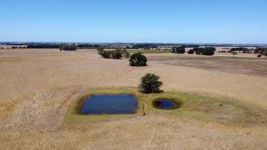 Cropping Auction - VIC - Tarrington - 3301 - Picturesque Property with Uncapped Potential  (Image 2)
