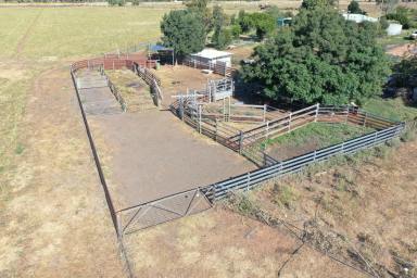 Farmlet Auction - NSW - Tocumwal - 2714 - HIGH DEMAND, LOW SUPPLY.  RARE OPPORTUNITY TO PURCHASE MUCH SOUGHT AFTER LAND.  (Image 2)