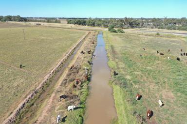 Farmlet Auction - NSW - Tocumwal - 2714 - HIGH DEMAND, LOW SUPPLY.  RARE OPPORTUNITY TO PURCHASE MUCH SOUGHT AFTER LAND.  (Image 2)