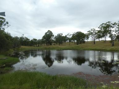 Livestock For Sale - QLD - Dallarnil - 4621 - "WHEATLEY" (One Family for over 100 years) Good mix of Scrub & Forest Country  (Image 2)