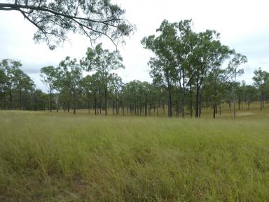 Livestock For Sale - QLD - Dallarnil - 4621 - "WHEATLEY" (One Family for over 100 years) Good mix of Scrub & Forest Country  (Image 2)