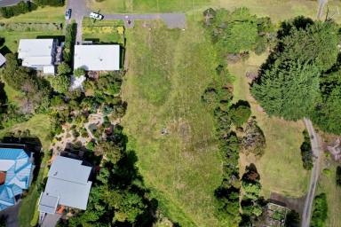 Residential Block For Sale - VIC - Skenes Creek - 3233 - Large allotment FOR SALE.  (Image 2)