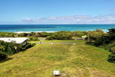 Residential Block For Sale - VIC - Skenes Creek - 3233 - Large allotment FOR SALE.  (Image 2)