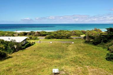 Residential Block For Sale - VIC - Skenes Creek - 3233 - A unique front seat forever facing Bass Strait.  (Image 2)