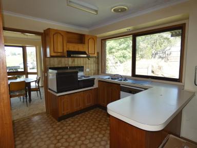 House Sold - VIC - Wiseleigh - 3885 - PEACE & QUIET ON 4 ACRES  (Image 2)