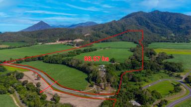 Residential Block For Sale - QLD - Mount Peter - 4869 - FARM OR DEVELOPMENT SITE  (Image 2)