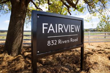 Other (Rural) For Sale - NSW - Canowindra - 2804 - &apos;Fairview&apos; 453 acres* - Canowindra  (Image 2)