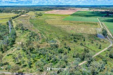 Livestock For Sale - QLD - Wallaville - 4671 - GRAZING & CULTIVATION  (Image 2)