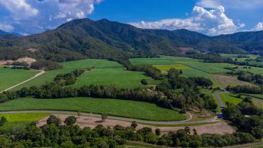 Commercial Farming For Sale - QLD - Mount Peter - 4869 - Mount Peter's Newest Estate  (Image 2)