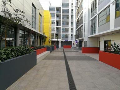 Office(s) For Sale - NSW - Arncliffe - 2205 - 199sqm $455k Arncliffe - restaurant, retail, office groundfloor  (Image 2)