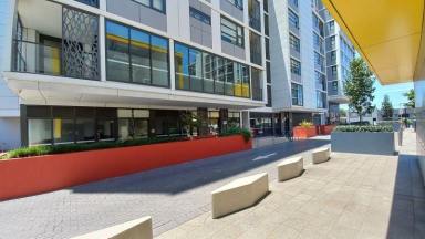 Office(s) For Sale - NSW - Arncliffe - 2205 - 199sqm $455k Arncliffe - restaurant, retail, office groundfloor  (Image 2)