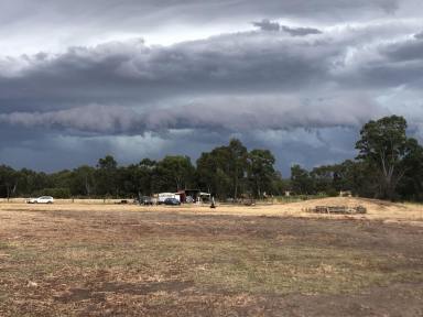 Residential Block For Sale - VIC - Coleraine - 3315 - Residential Land  (Image 2)