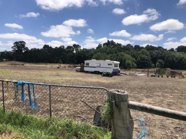 Residential Block For Sale - VIC - Coleraine - 3315 - Residential Land  (Image 2)