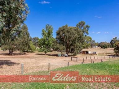 Farmlet For Sale - WA - Donnybrook - 6239 - HOME OPEN THIS SATURDAY 15TH 10:00 TO 10:30  (Image 2)
