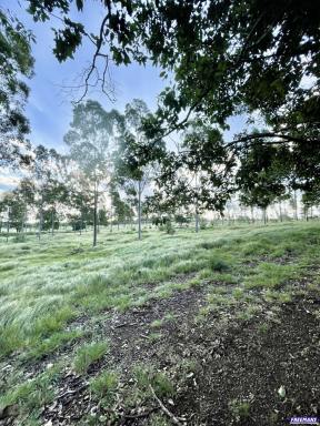 House Leased - QLD - Kingaroy - 4610 - 4 Bedroom Renovated and Furnished Home!  (Image 2)