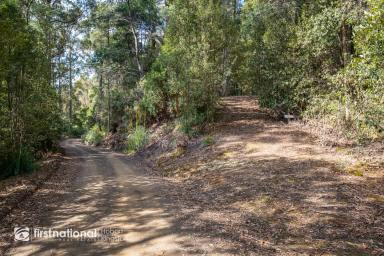 Residential Block For Sale - TAS - Adventure Bay - 7150 - Enchanting Adventure Bay Acreage Close to the Beach!  (Image 2)