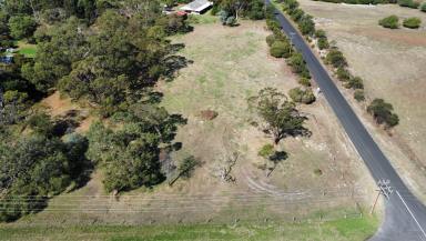 Residential Block For Sale - SA - Millicent - 5280 - Country Lifestyle Allotment  (Image 2)