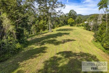 Residential Block Sold - NSW - Bellingen - 2454 - Lifestyle Block Close to Town  (Image 2)