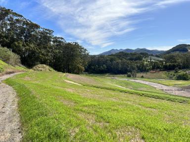 Residential Block For Sale - NSW - Coffs Harbour - 2450 - Land For Sale Coffs Harbour  (Image 2)