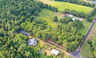 Residential Block For Sale - QLD - Tully - 4854 - 8 ACRES AT FOOTHILLS OF MT TYSON!  (Image 2)