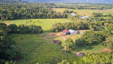 Residential Block For Sale - QLD - Tully - 4854 - 8 ACRES AT FOOTHILLS OF MT TYSON!  (Image 2)