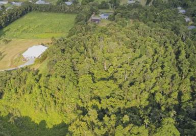 Residential Block For Sale - QLD - Tully - 4854 - 8 ACRES AT FOOTHILLS OF MT TYSON!  (Image 2)