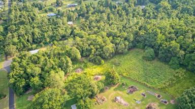 Residential Block For Sale - QLD - Tully - 4854 - 8 ACRES AT FOOTHILLS OF MT TYSON!  (Image 2)