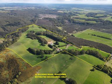 House For Sale - TAS - Irishtown - 7330 - Versitile & Private 154 acre grazing/equestrian property *Price Reduced!*  (Image 2)