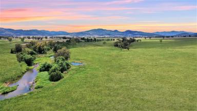 Lifestyle For Sale - NSW - Quirindi - 2343 - LOT 29 IDEAL 3.56 ACRES WITH CREEK FRONTAGE & COUNTRY LIFESTYLE  (Image 2)