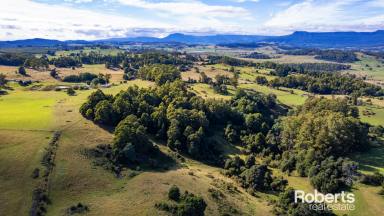 Residential Block For Sale - TAS - Mole Creek - 7304 - Rosewick Hills Land  (Image 2)