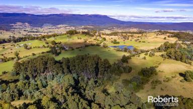 Residential Block For Sale - TAS - Mole Creek - 7304 - Rosewick Hills Land  (Image 2)