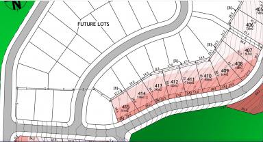 Residential Block For Sale - NSW - Coffs Harbour - 2450 - Land For Sale Coffs Harbour  (Image 2)