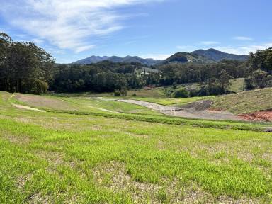 Residential Block For Sale - NSW - Coffs Harbour - 2450 - Land For Sale Coffs Harbour  (Image 2)