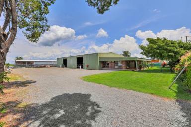 Industrial/Warehouse For Sale - NT - Berrimah - 0828 - THEY DON’T BUILD THEM AS STRONG AS THIS ANYMORE!!  (Image 2)