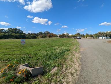 Residential Block Sold - NSW - Tocumwal - 2714 - An Awesome Acreage Block - The Stuff Of Dreams  (Image 2)