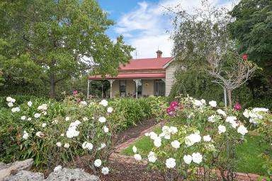 House Sold - VIC - Camperdown - 3260 - Grand Old Home on York!  (Image 2)