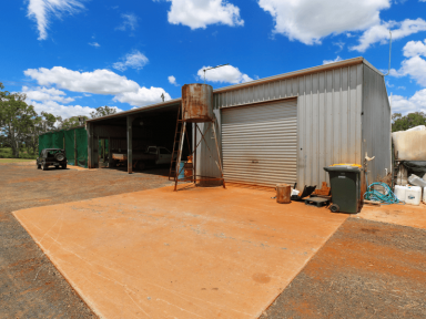 Horticulture For Sale - QLD - North Isis - 4660 - WIWO AVO FARM & NURSERY  (Image 2)