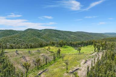 Lifestyle For Sale - NSW - Deua River Valley - 2537 - Investing In Your Lifestyle?  (Image 2)