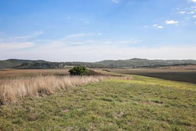 Lifestyle For Sale - VIC - Princetown - 3269 - Amazing Princetown Land Opportunity  (Image 2)