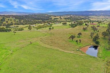 Acreage/Semi-rural For Sale - NSW - Tenterfield - 2372 - "Sheralie" - Rural Lifestyle Property With Options.....  (Image 2)